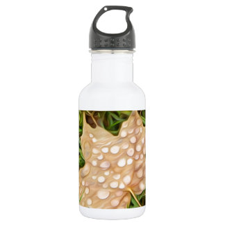 dew drop water bottle