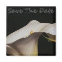 Calli Lillie Save The Date magnets