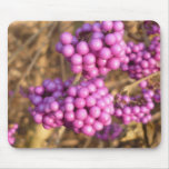 Callicarpa bodinieri (pink) - Mousepad