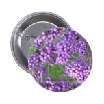 Callicarpa bodinieri (purple) pin