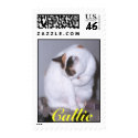 Callie Cleaning postage by catpeople Callie Cleaning postage