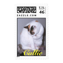 Callie Cleaning postage by catpeople Callie Cleaning postage
