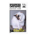 Callie Cleaning Postage Stamps