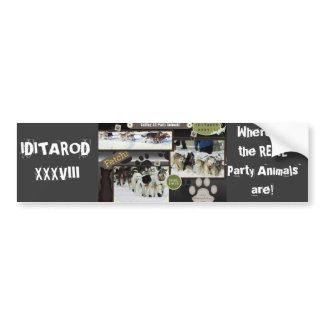 Calling all party animals! bumpersticker
