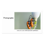Calling card Photographer R.P business cards