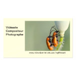 Calling card R.P business cards