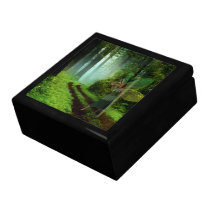 Calling the Fairies Keepsake Box