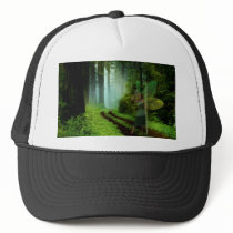 Calling the Fairies Mesh Hats