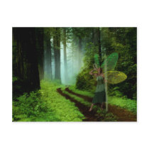 Calling the Fairies Postcard