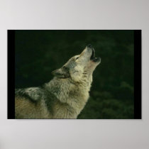 Calling the pack print