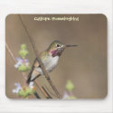 Calliope Hummingbird Mousepad by Tenderstorm Calliope Hummingbird Mousepad