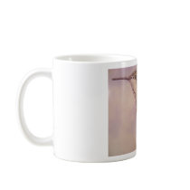 Calliope Hummingbird mugs