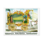 Calliope - Wonderful Operonicon Chromolithograph Post Card