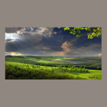 Calm Afternoon posters