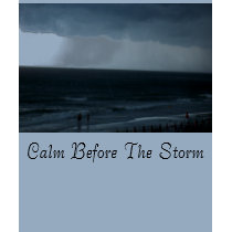 Calm Before The Storm t-shirts