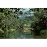 Calm Flow Photo Sculpture