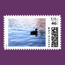 Calm postage