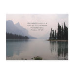 calm the storm postcards