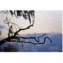 Calm Waters photo sculptures by RLMdesignes Calm Waters photo sculptures
