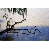 Calm Waters photo sculptures by RLMdesignes Calm Waters photo sculptures