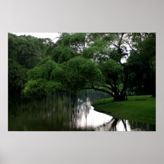 Calm Waters Poster print