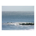 Calming Print