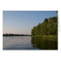 Calming River cards by acmclouse Calming River cards