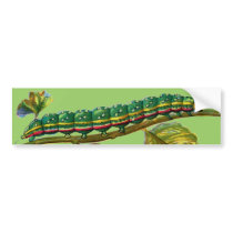 Calocampa vetusta caterpillar bumper stickers by FlutterByButterfly Calocampa vetusta caterpillar bumper stickers