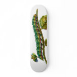 Calocampa vetusta caterpillar skateboards