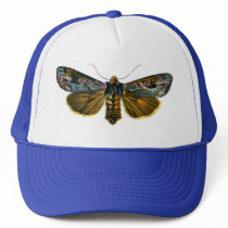 Calocampa vetusta hats by FlutterByButterfly Calocampa vetusta hats