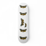 Calocampa vetusta skateboard