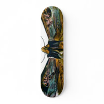 Calocampa vetusta skateboards