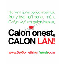 Calon Lan t-shirts by SSIWelsh Calon Lan t-shirts