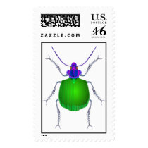 calosoma postage by elonium calosoma postage
