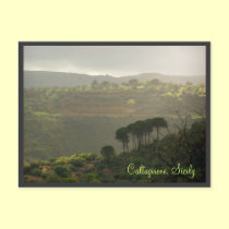 Caltagirone. Sicily postcards
