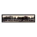 Caltech Throop Pasadena Photo 1908 posters