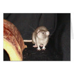 Calub Card 2