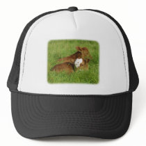 Calves 9B48D-11 hats