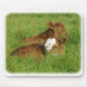 Calves 9B48D-11 mousepads