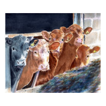 Calves at Brunch Canvas Print by mozache Calves at Brunch Canvas Print