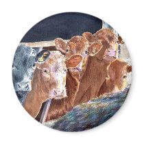Calves at Brunch Magnet by mozache Calves at Brunch Magnet