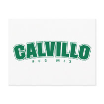 Calvillo AGS postcards