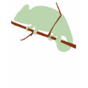 camaleon t-shirts by guarramon camaleon t-shirts