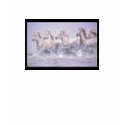 Camargue-Horse-7407 t-shirts by sandramonarrez Camargue-Horse-7407 t-shirts