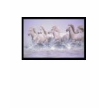 Camargue-Horse-7407 t-shirts by sandramonarrez Camargue-Horse-7407 t-shirts