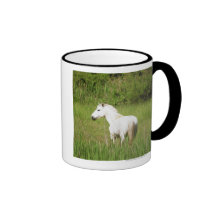Camargue Horse in the Alpes Cote d'Azur of the Coffee Mugs