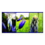 Camas Collage Photocard Customized Photo Card