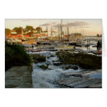 Camden Falls &amp; Harbor Card