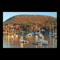 Camden Harbor Autumn Morning posters