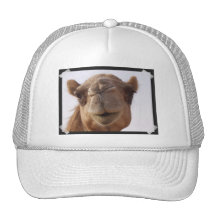 Camel Baseball Hat